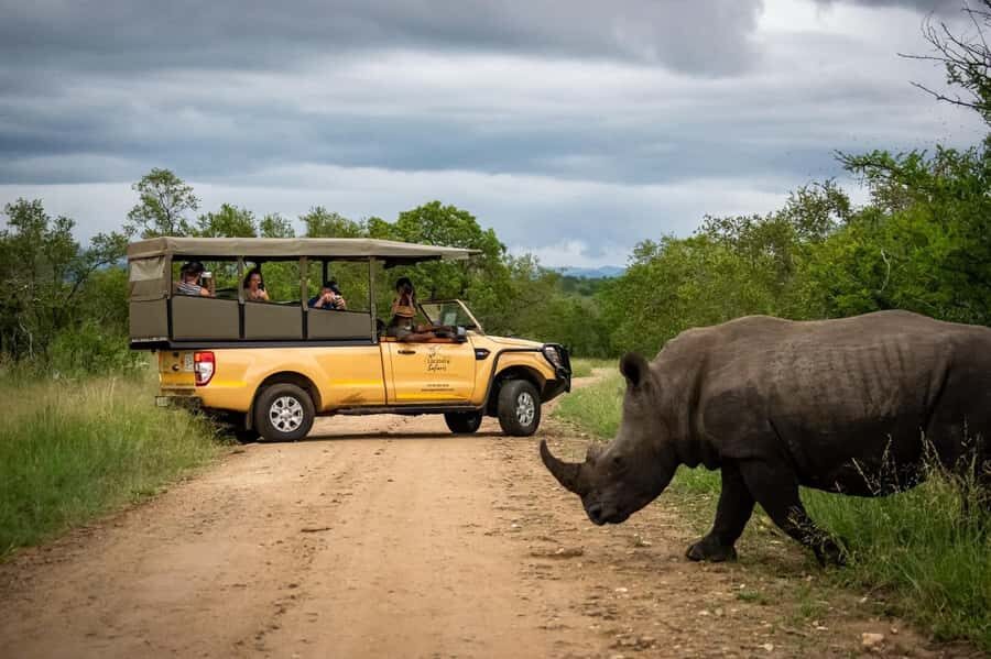 Malelane & Komtipoort: Kruger National Park Full-Day Safari - Open Safari Vehicle: The Photo-Light Advantage (and the Comfort Tradeoff)