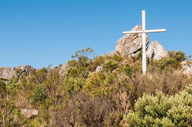 Marine Big 5 Full Day Guided Return Transfer Cape Town - Gansbaai - The Cape Town to Hermanus drive: turns route time into sightseeing time