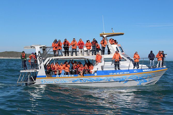 Marine Big 5 Full Day Guided Return Transfer Cape Town - Gansbaai - When the boat cancels: what you can do instead