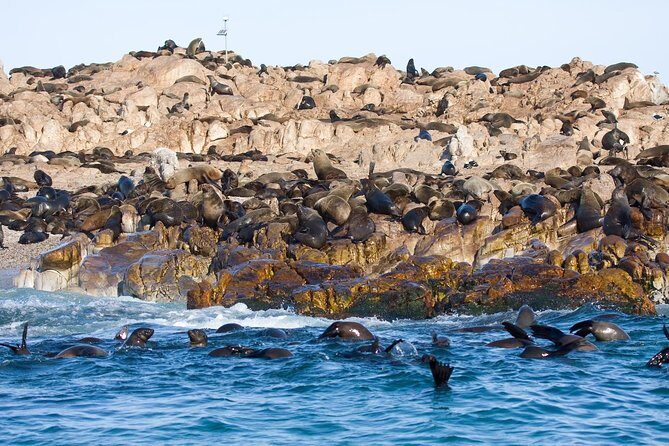 Marine Big 5 Safari full day trip from Cape Town - The 6:00 am start and the drive that comes with it
