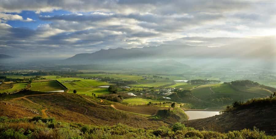 Marine Eco Cruise and Half-Day Wine Route with Tastings - The wine and cheese segment: cellar tour, tasting structure, and a tram ride