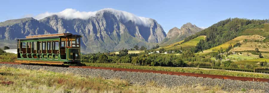 Marine Eco Cruise and Half-Day Wine Route with Tastings - Price and logistics: does $160 make sense for you?