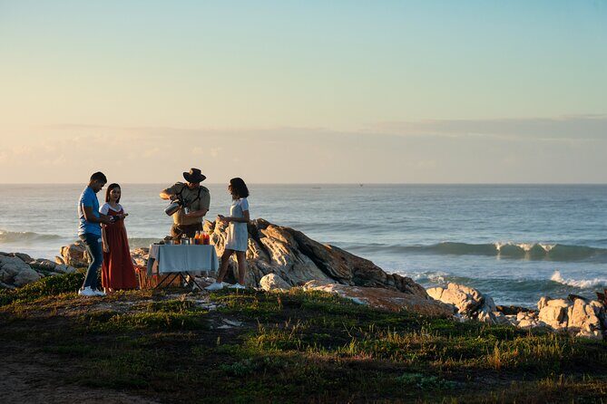 Marine Eco Safari - Cape Recife safari highlights and what to expect