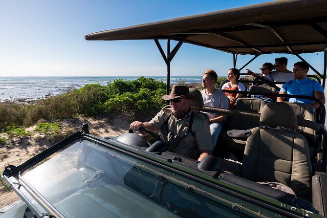Marine Eco Safari - Key things I’d circle before you book