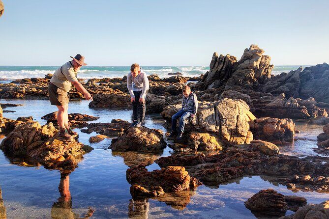 Marine Eco Safari - Birding and botanical stops: the quiet strength of this tour
