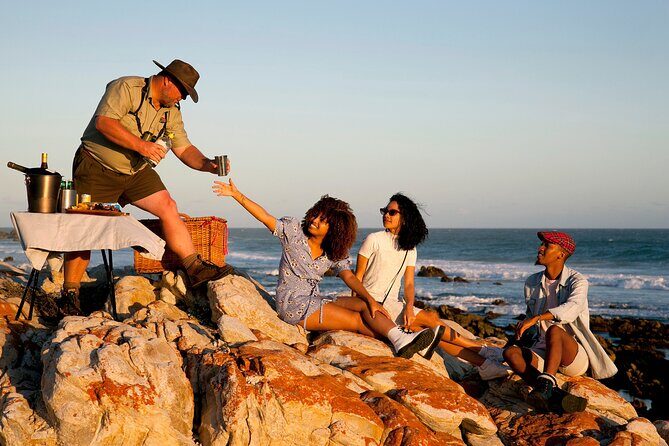 Marine Eco Safari - Guided drives and hikes: how the group actually finds wildlife