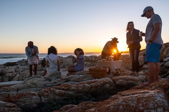 Marine Eco Safari - Whales and dolphins from the shore: the marine part you’re booking for