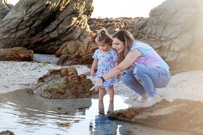 Marine Eco Safari - Lighthouse views, coastal history, and why the timing matters