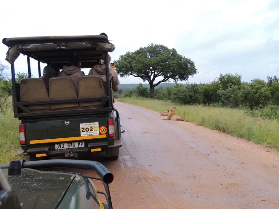 Marloth Park: Kruger National Park Safari Game Drives - Savanna woodlands and elephant impact: seeing the whole system