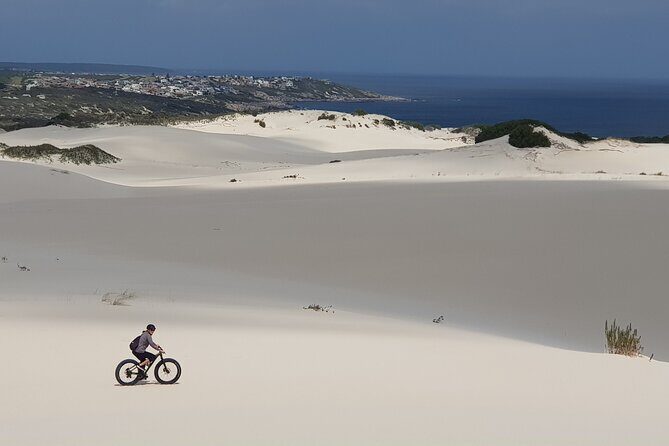 Morning Fatbike Dune Tour - Ocean views and whale season: seeing the bay while you ride