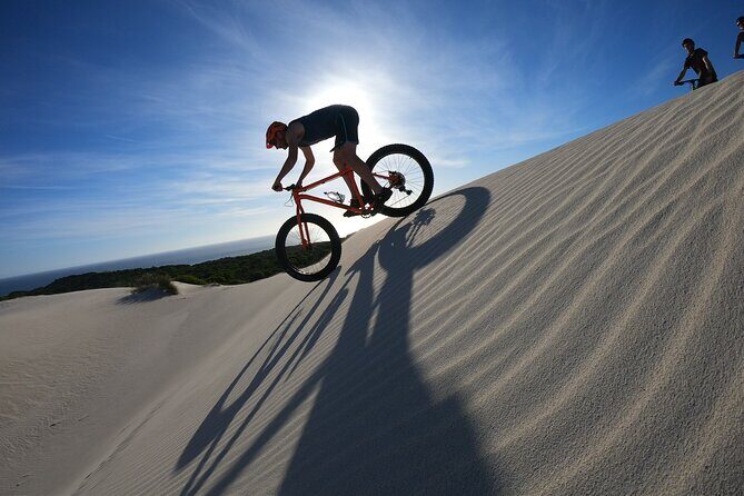 Morning Fatbike Dune Tour - Wildlife and nature stories you can actually use