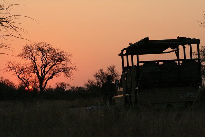 Morning Kruger National Park Safari - Morning Safari Rhythm From Hazyview to Kruger’s Roadside World