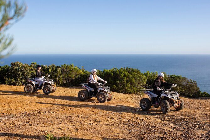 Most Exciting Adventurous Activities and the Only Quadbike Tours in Tsitsikamma - The ride itself: forest tracks, pine views, and a sea viewpoint moment