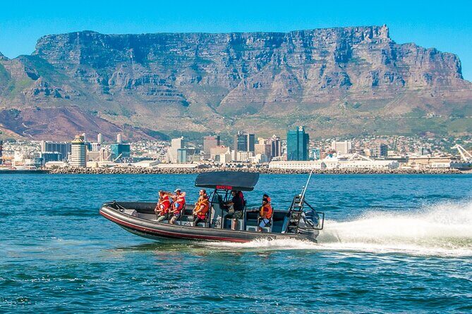 Ocean Safari - Price and Value: Is $27.13 Worth Your One Hour?
