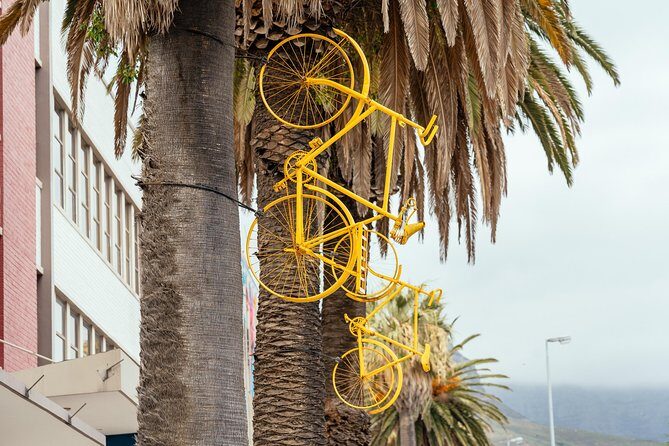 Off the Beaten Track in Cape Town: Private City Tour - Pacing and Expectations for a 2.5-Hour Neighborhood Route