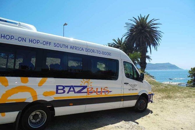 One-Way Hop-on Hop-off Bus from Port Elizabeth to Cape Town - One-Way Freedom From Port Elizabeth to Cape Town