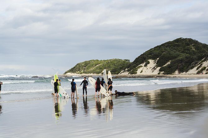 One-Way Hop-on Hop-off Bus from Port Elizabeth to Cape Town - Practical Notes That Make or Break Your Experience