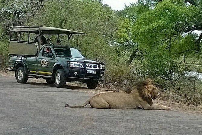 Open Vehical Safari in Kruger National Park Half Day - Why an open-vehicle half-day hits the sweet spot