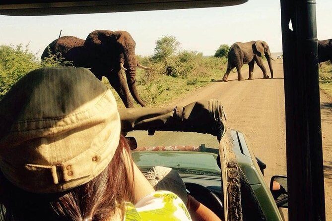 Open Vehical Safari in Kruger National Park Half Day - Pickup from Marloth Park: where your day starts