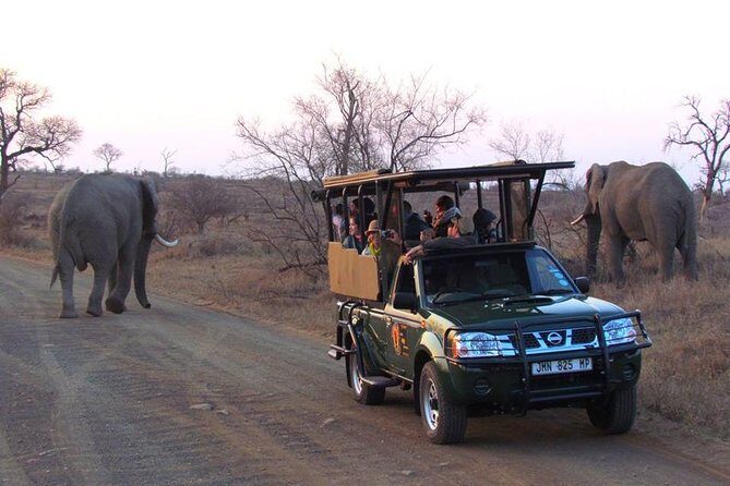 Open Vehical Safari in Kruger National Park Half Day - Small group safari (max 9): better sighting flow