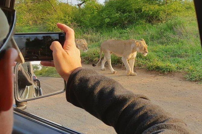 Open Vehical Safari in Kruger National Park Half Day - What your guide does on the drive (and why it matters)