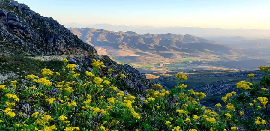 Oudtshoorn: Half-Day Swartberg Pass Private Guided Tour - Key Things That Make This Tour Worth Your Time