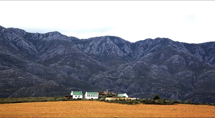 Oudtshoorn: Swartberg Mountain Pass Tour with Country Lunch - Why the Swartberg Pass summit at 1585 m matters