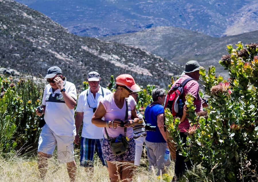 Oudtshoorn: Swartberg Mountain Pass Tour with Country Lunch - The 360-degree scenery you’ll be looking for