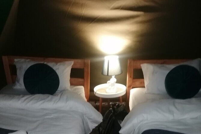 Overnight Kruger National Park Classic Camping Safari - Day 1 at 1:30 pm: Afternoon Transfer and Your First Open-Vehicle Drive