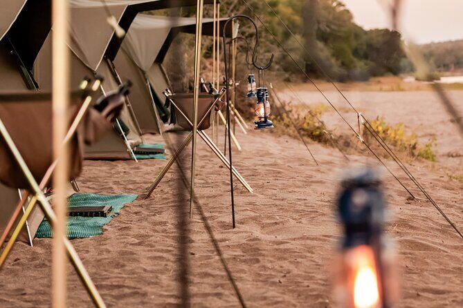Overnight Trails Camp in Olifants River - Afternoon game drive: your guide’s job is to find animals and help you see them