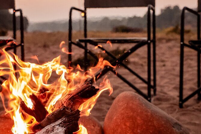 Overnight Trails Camp in Olifants River - Day 2 at dawn: the bush walk (and the rules you should know)