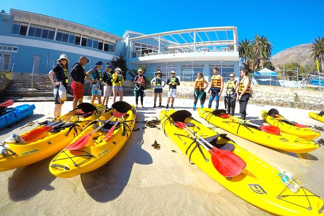 Paddle with the Penguins - Why Sea Kayaking Near Simon’s Town Penguins Feels Special