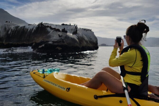 Paddle with the Penguins - Choosing Between Double and Single Kayaks (and Why It Matters)