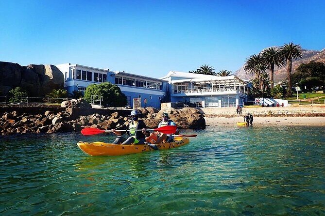 Paddle with the Penguins - The Guide Experience: Safety First, Then Real Ocean Talk