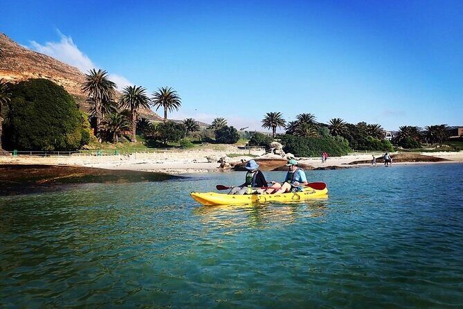 Paddle with the Penguins - Gear, Meet-Up, and What You Should Bring