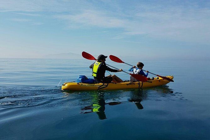 Paddle with the Penguins - Fitness Level and Who This Kayak Trip Fits