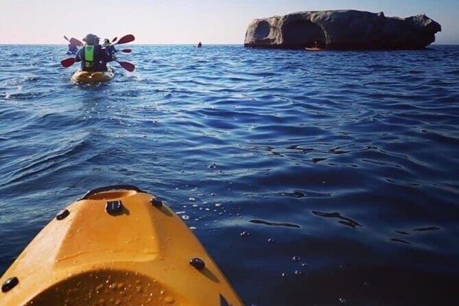Paddle with the Penguins - Conservation in the Background, Not Just a Slogan