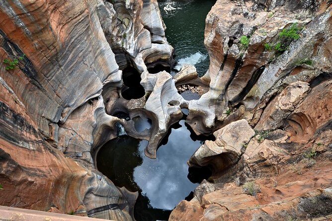 Panorama Route Tours - God’s Window: the lookout that makes the region click