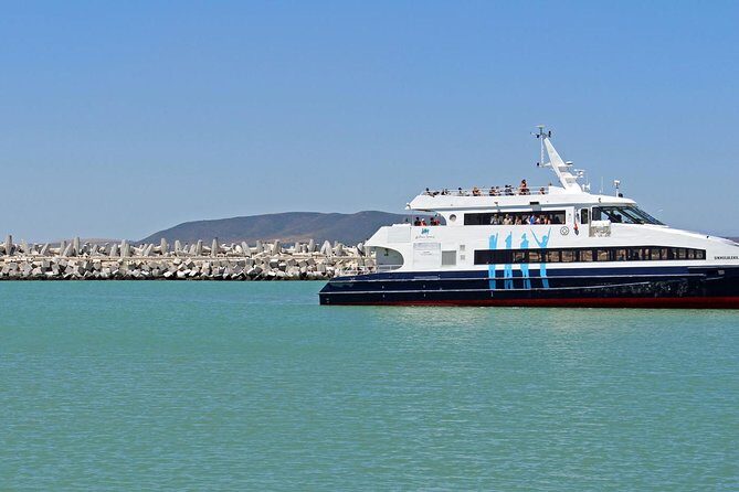 Path to Freedom: Apartheid & Township Tour with Private Transfers - Robben Island optional add-on: powerful, but plan for conditions
