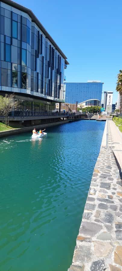 Pedal Boat Ride V&A Waterfront - Cape Town - What you might spot: fish, star fish, mussels, and abalone