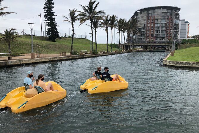 Pedal Boat Rides on Durban Point Waterfront Canals - Wildlife Spotting in a Protected Reserve: Fish, and Maybe Sharks