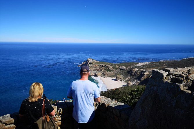 Penguin Time! Private Peninsula Experience. - What to expect on the road: comfort, WiFi, and a full-day rhythm