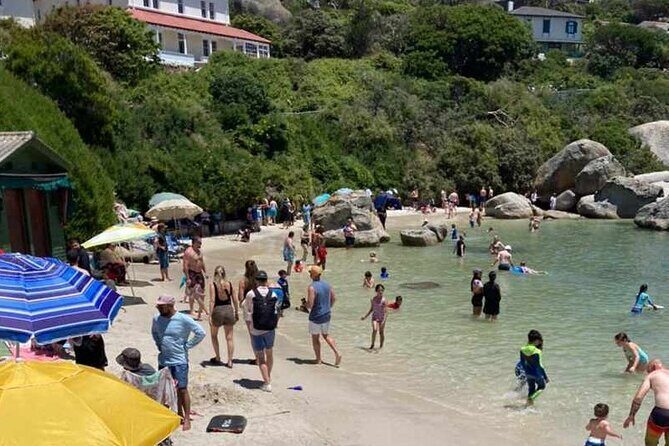 Penguin Watching & Beach Day at Boulder's Beach, Cape Town - Price and what you’re really paying for