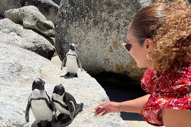 Penguin Watching & Beach Day at Boulder's Beach, Cape Town - Morning pickup: Camps Bay and the Kodak moment