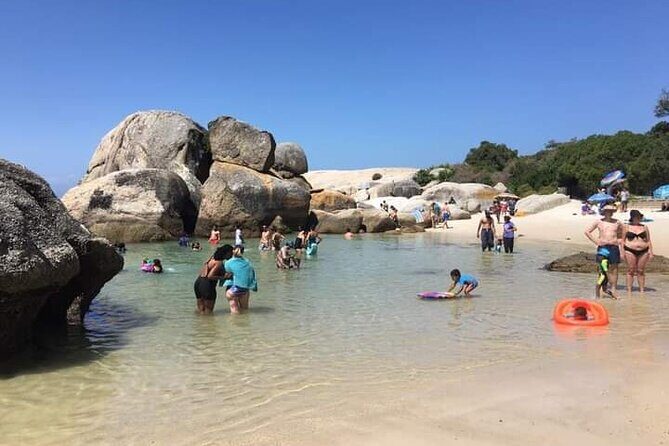 Penguin Watching & Beach Day at Boulder's Beach, Cape Town - The Penguin Colony day at Boulders Beach: boardwalk viewing and swim-ready time