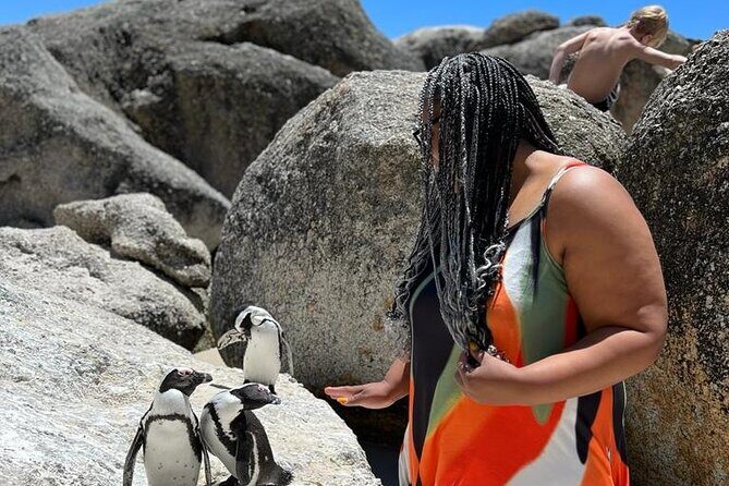 Penguin Watching & Beach Day at Boulder's Beach, Cape Town - Who should book this penguin and beach tour