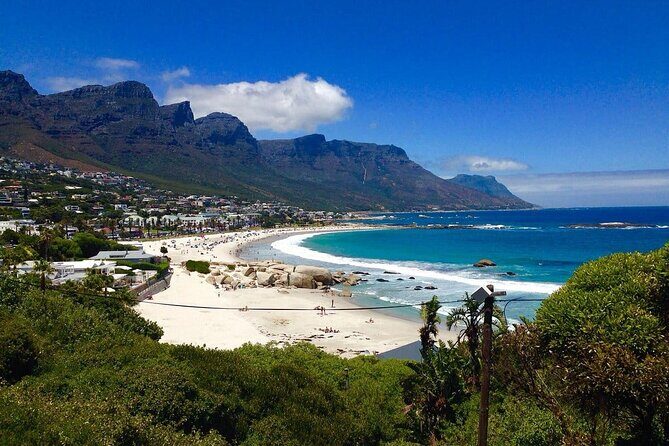 Penguins Cape of Good Hope, Cape Point Private Tour - A private 9-hour loop with real Cape Peninsula variety