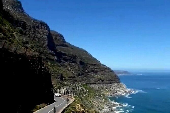 Penguins Cape of Good Hope, Cape Point Private Tour - Cape Point: hike or Flying Dutchman Funicular to the lighthouse area