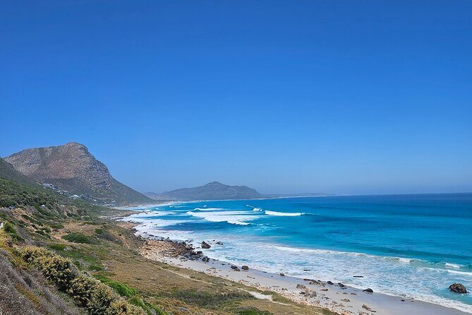 Peninsula Full Day Private Tour - Cape Point Nature Reserve: The 2-Ocean Viewpoint You Can Feel