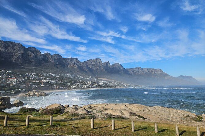 Peninsula Full Day Private Tour - Boulders Beach Penguin Colony: Close Encounters Without Feeling Chaotic